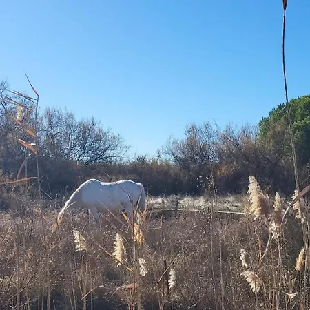 Un Jardin Proche De La Et Commerces Lejlighed *
